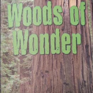 Woods Of Wonder