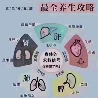 肾脏的营养保养