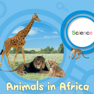 Animals in Africa