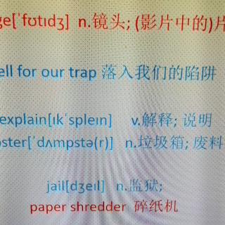 老鼠记者第二集词汇从reveal到paper shredder