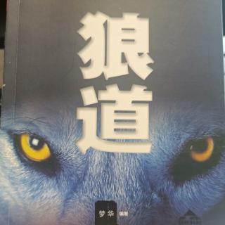 6.3、狼最尽心，做人也要有责任感