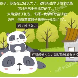 《学会独立的大熊猫🐼》