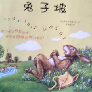 《兔子坡——努力奋斗》