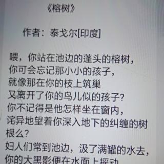 《榕树》