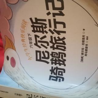 尼尔斯骑鹅旅行记第一章