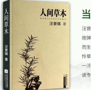 《人间草木》罗汉