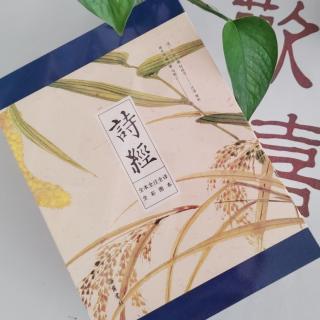 《诗经•风•召南》—殷其雷