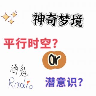 【酒鬼Radio】Vol.07 神奇梦境：平行时空or潜意识？