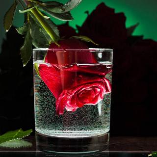 《掉到杯里的玫瑰》/作者：林一苇