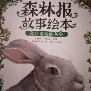 森林报故事绘本|诡计多端的灰兔