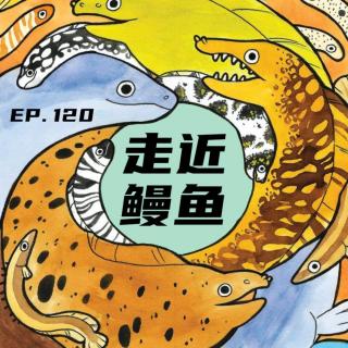 EP120 走近鳗鱼：水底的死宅生活大揭秘！