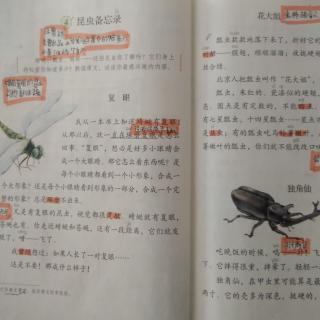 三年级语文下册4昆虫备忘录