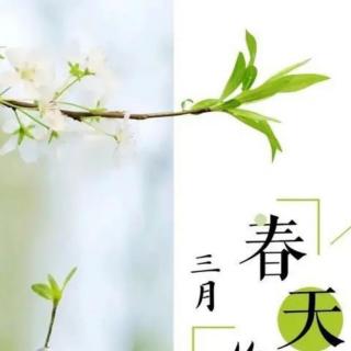 
《詩經(jīng).國風(fēng).召南.騶虞》