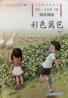 【同步阅读-彩色篱笆】《刘姥姥进大观园》～《香菱学诗》