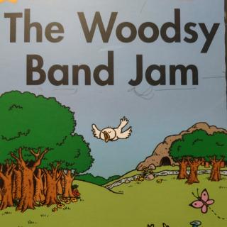 Sissie读Raz C The woodsy band  jam