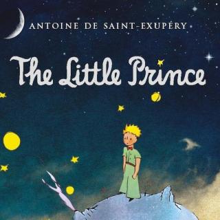The Little Prince 08