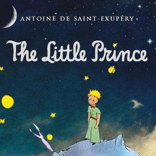 The Little Prince  05