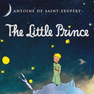 The Little Prince 04