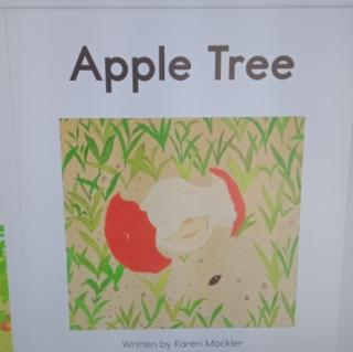 Apple tree