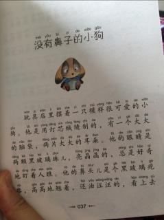 没有鼻子的小狗