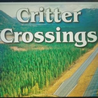 Critter Crossings