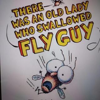 There Was An Old Lady Who Swallowed Fly