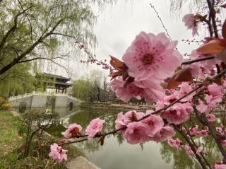 《为今天喝彩》武岐省