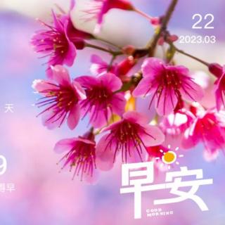 2023.3.22《让世界因我而美丽》