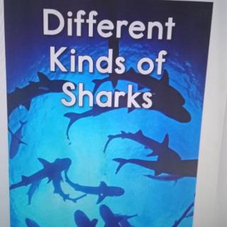 Different kinds of sharks