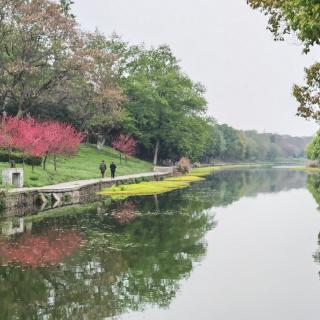 1191.望洞庭湖赠张丞相~孟浩然