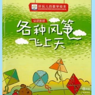 幼专金海湾幼儿园阳阳老师—《各种风筝飞上天》