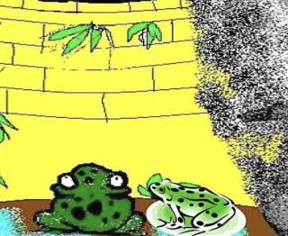 睡前故事《枯井里的青蛙》