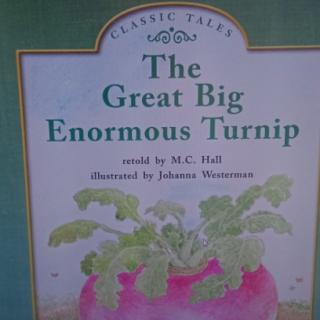 The great big enormous turnip