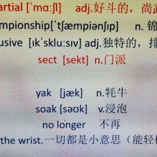 老书记者第九集词汇从precious到in the wrist