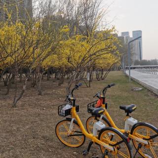 守住生活的基线，未来就不那么艰难