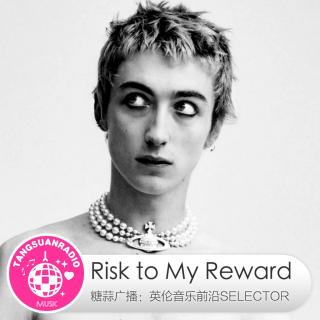 Risk to My Reward·糖蒜爱音乐之The Selector