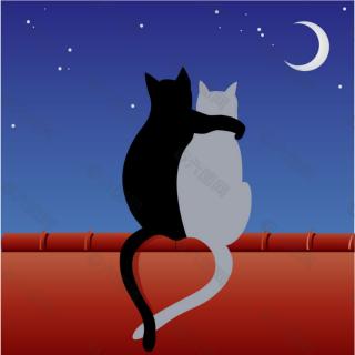 屋顶上的猫和月亮