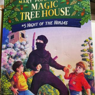 Night Of The Ninjas (1)