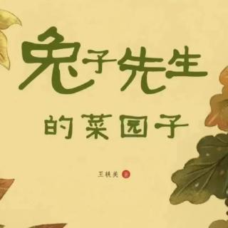 《兔子先生的菜园子》