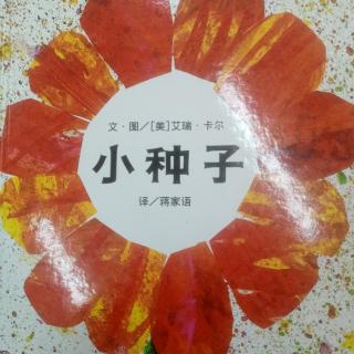 晚安故事《小种子》小希老师