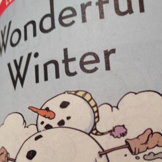 Wonderful Winter