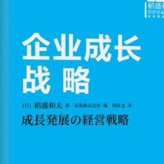 《企业成长战略》——-第二章2拓展海外业务的案例之一