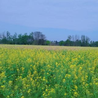 你的节奏，不需要别人来带