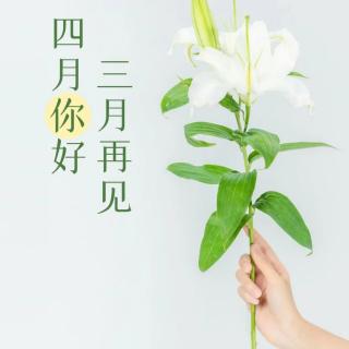 再见三月，愿人生所向，皆是美好