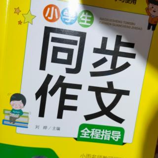 《有趣的鸡蛋壳》