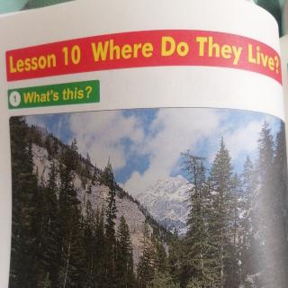 Lesson. 10.  Where. Do. They. Live?