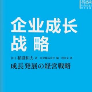 《企业成长战略》—第二章3拓展海外业务的案例之二