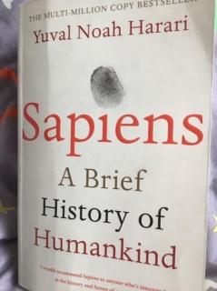 sapiens30