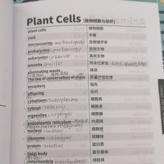 Plant Cells植物细胞