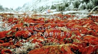 Apr.1 Hazel 4｜Scarlet Rocks Under Glaciers